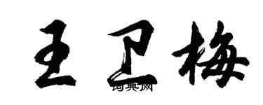胡问遂王卫梅行书个性签名怎么写