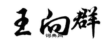 胡问遂王向群行书个性签名怎么写