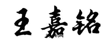 胡问遂王嘉铭行书个性签名怎么写