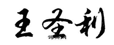 胡问遂王圣利行书个性签名怎么写