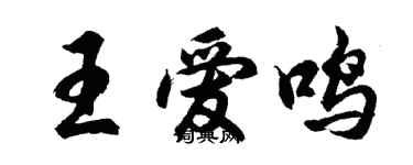 胡问遂王爱鸣行书个性签名怎么写