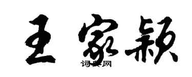胡问遂王家颖行书个性签名怎么写