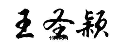 胡问遂王圣颖行书个性签名怎么写