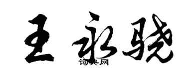 胡问遂王永骁行书个性签名怎么写