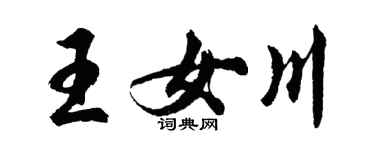 胡问遂王女川行书个性签名怎么写