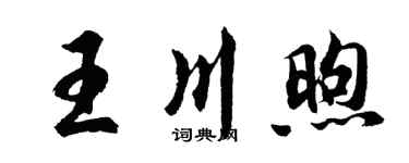 胡问遂王川煦行书个性签名怎么写