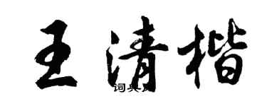 胡问遂王清楷行书个性签名怎么写
