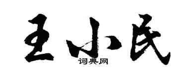 胡问遂王小民行书个性签名怎么写