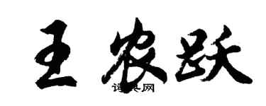胡问遂王农跃行书个性签名怎么写