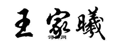 胡问遂王家曦行书个性签名怎么写