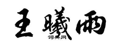 胡问遂王曦雨行书个性签名怎么写