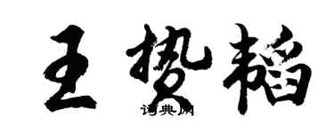 胡问遂王贽韬行书个性签名怎么写