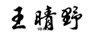 胡问遂王晴野行书个性签名怎么写
