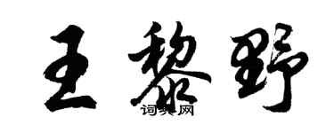 胡问遂王黎野行书个性签名怎么写