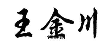 胡问遂王金川行书个性签名怎么写