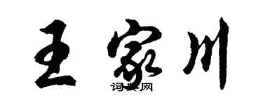 胡问遂王家川行书个性签名怎么写