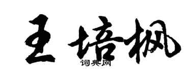胡问遂王培枫行书个性签名怎么写