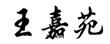 胡问遂王嘉苑行书个性签名怎么写