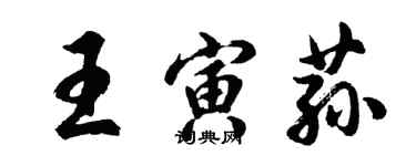 胡问遂王寅荪行书个性签名怎么写