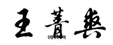 胡问遂王菁爽行书个性签名怎么写
