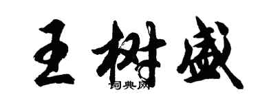 胡问遂王树盛行书个性签名怎么写