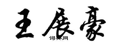 胡问遂王展豪行书个性签名怎么写