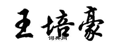 胡问遂王培豪行书个性签名怎么写