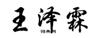 胡问遂王泽霖行书个性签名怎么写