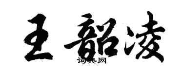 胡问遂王韶凌行书个性签名怎么写