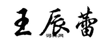 胡问遂王辰蕾行书个性签名怎么写