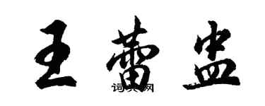 胡问遂王蕾盅行书个性签名怎么写