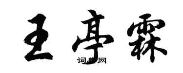 胡问遂王亭霖行书个性签名怎么写