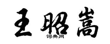 胡问遂王昭嵩行书个性签名怎么写