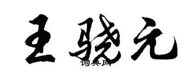 胡问遂王骁元行书个性签名怎么写