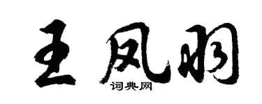 胡问遂王凤羽行书个性签名怎么写