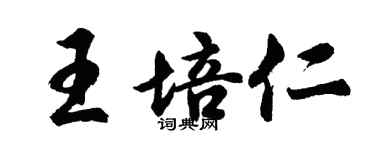 胡问遂王培仁行书个性签名怎么写