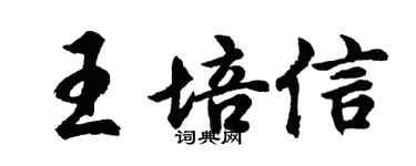 胡问遂王培信行书个性签名怎么写