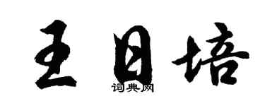胡问遂王日培行书个性签名怎么写