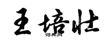 胡问遂王培壮行书个性签名怎么写