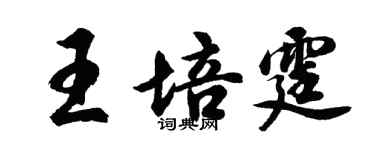 胡问遂王培霆行书个性签名怎么写