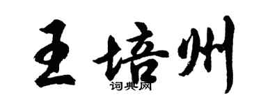 胡问遂王培州行书个性签名怎么写