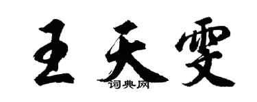 胡问遂王天雯行书个性签名怎么写