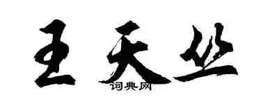胡问遂王天丛行书个性签名怎么写