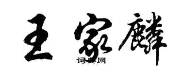 胡问遂王家麟行书个性签名怎么写