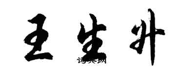 胡问遂王生升行书个性签名怎么写