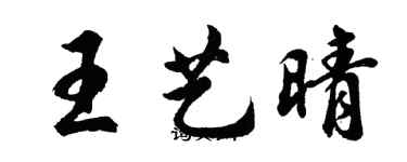 胡问遂王艺晴行书个性签名怎么写