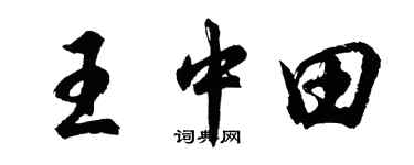 胡问遂王中田行书个性签名怎么写