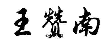 胡问遂王赞南行书个性签名怎么写