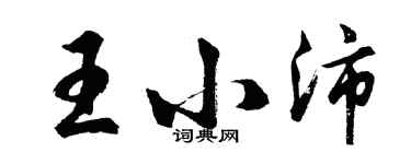 胡问遂王小沛行书个性签名怎么写