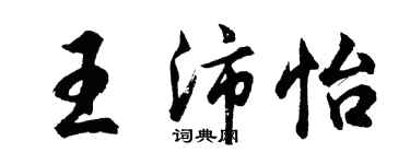 胡问遂王沛怡行书个性签名怎么写